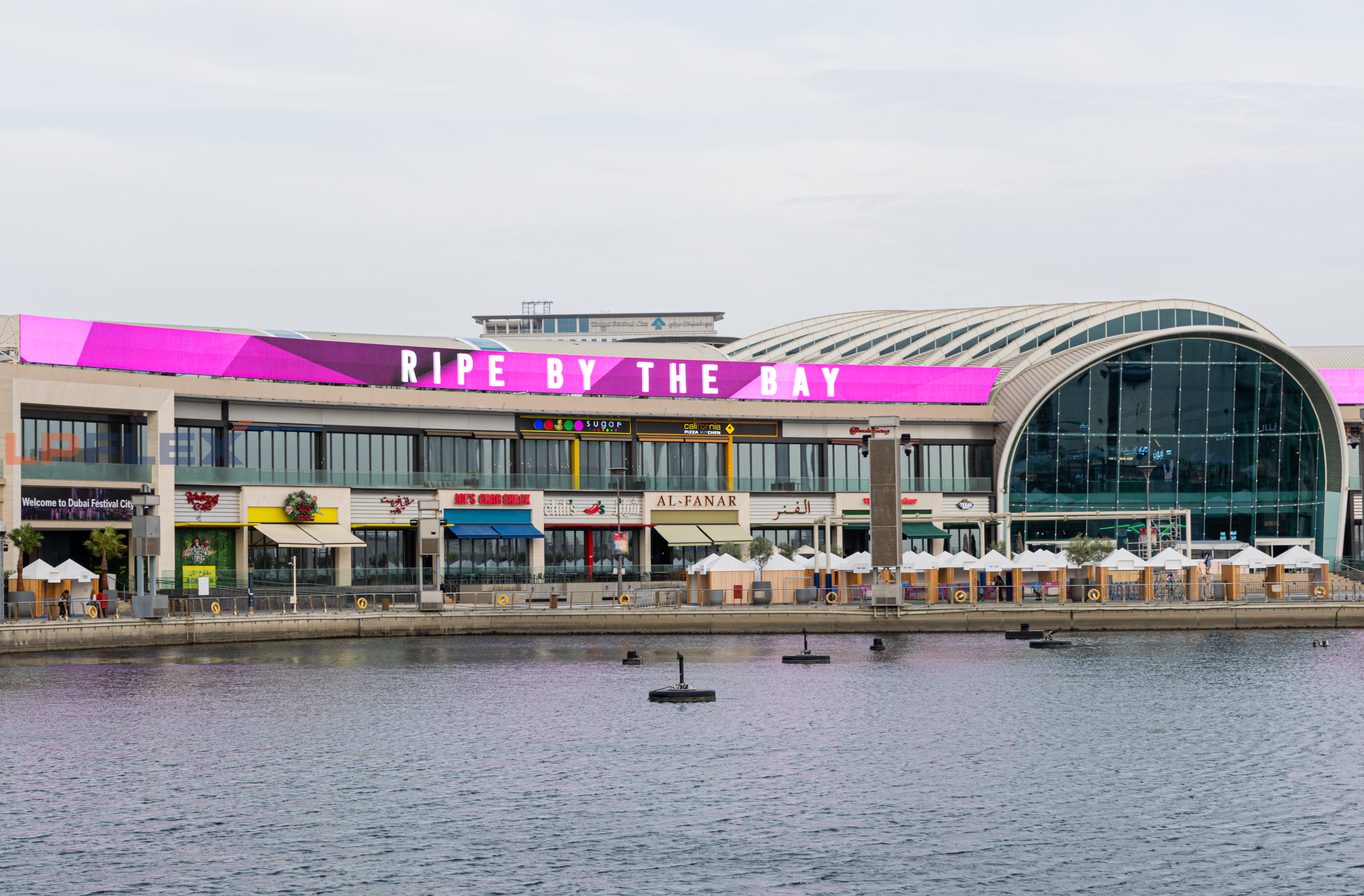  LPFLEX - Best Digital Signage for Cultural and Entertainment in Germany,
UAE, India & USA.